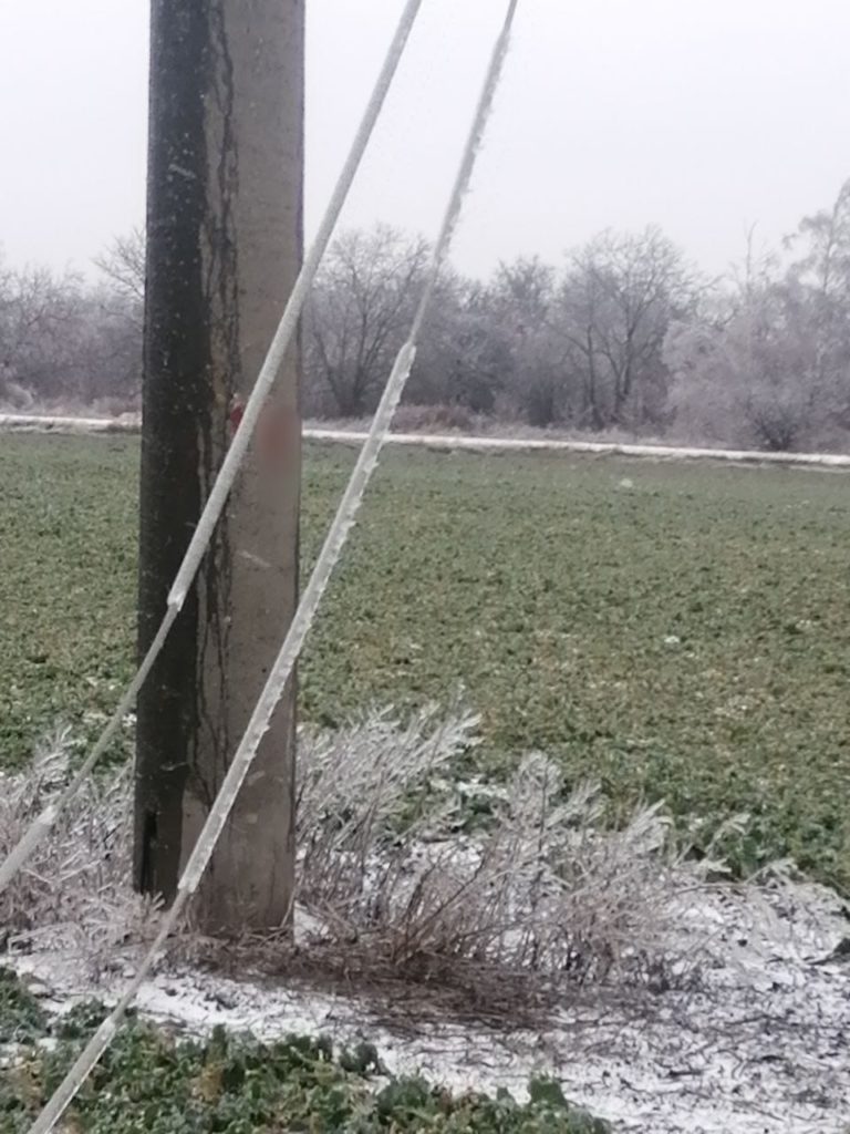 На Миколаївщині внаслідок негоди багато порваних електропроводів. Але енергетики працюють і скорочують кількість знеструмлених населених пунктів (ФОТО) 2