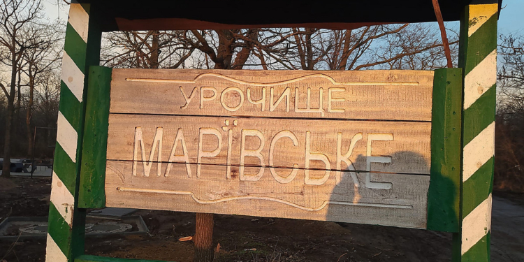 На Миколаївщині в урочище “Марʼївське” почалось облаштування зони відпочинку: місцеві мешканці кажуть, що не на часі, «Ліси України» – що це задля збереження лісу (ФОТО)