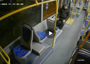 У Миколаєві пасажир побив водійку тролейбуса – мер просить відгукнутися тих, хто знає «героя» (ФОТО)