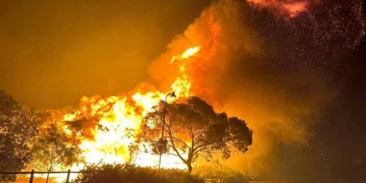В Австралії евакуюють людей через лісову пожежу, яка вийшла з-під контролю