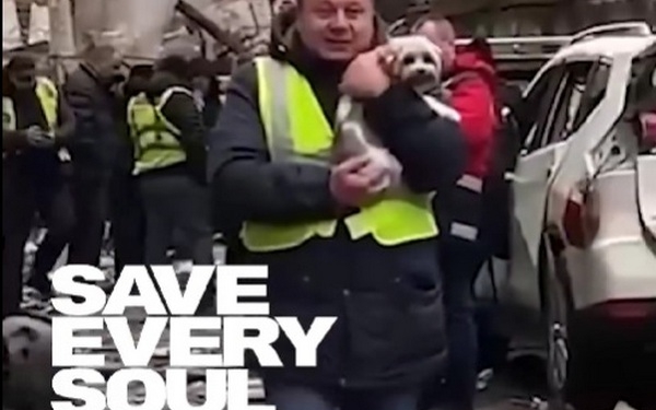 Врятувати кожну душу: як українці рятують тварин у Києві і Харкові після масованої ракетної атаки росіян (ВІДЕО)