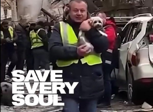 Врятувати кожну душу: як українці рятують тварин у Києві і Харкові після масованої ракетної атаки росіян (ВІДЕО) 1
