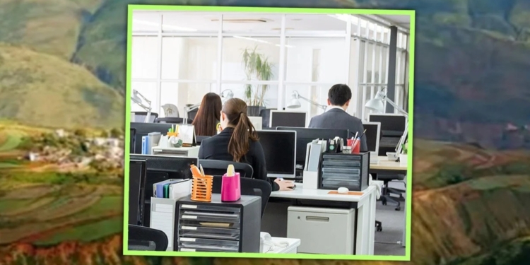 У Китаї власник компанії переніс офіс в гори – щоб співробітники звільнились самі, і не треба було платити компенсації