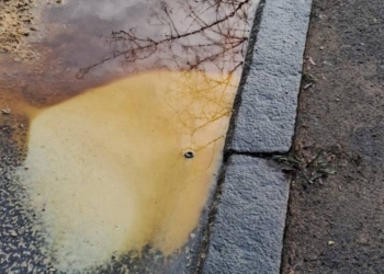 Олія з цистерни, яка перекинулась у Миколаєві, потрапила в річку і грунт – ДЕІ