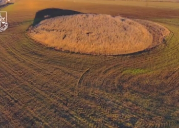 На Миколаївщині за позовами прокуратури повернуто у державну власність чотири кургани епохи пізньої бронзи та раннього заліза (ВІДЕО)