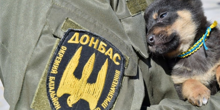 Суд зобов’язав Латвію надати притулок громадянину Росії, який воював на боці України