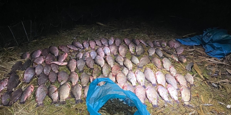 95 карасів та 139 раків: на Миколаївщині впіймали браконьєрів (ФОТО)