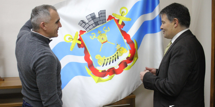 І в Миколаєві будуть оливкові дерева рости? Міжнародна платформа TIASI вважає, що тут можна було б виробляти оливкову олію