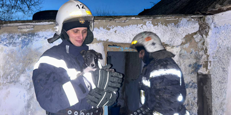Рятувальники Миколаївщини загасили дві пожежі і врятували песика (ФОТО)