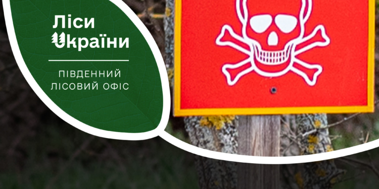 На Миколаївщині почали розміновувати територію Мурахівського лісництва, де 2022 року велись активні бойові дії