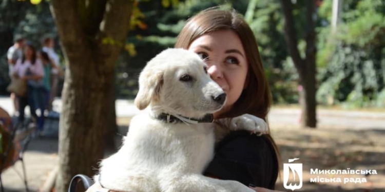 У Миколаєві завдяки виставкам-прилаштуванням знайшли домівки майже 500 безпритульних тварин