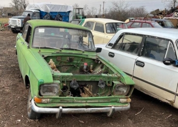 На Миколаївщині “автослюсар” брав автівки на ремонт і продавав їх на запчастини (ФОТО)