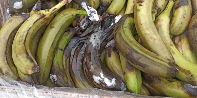 Через скарги військових зі Сходу країни заступник Міністра оборони раптово перевірив продуктові склади – продукти дійсно були зіпсовані (ФОТО)