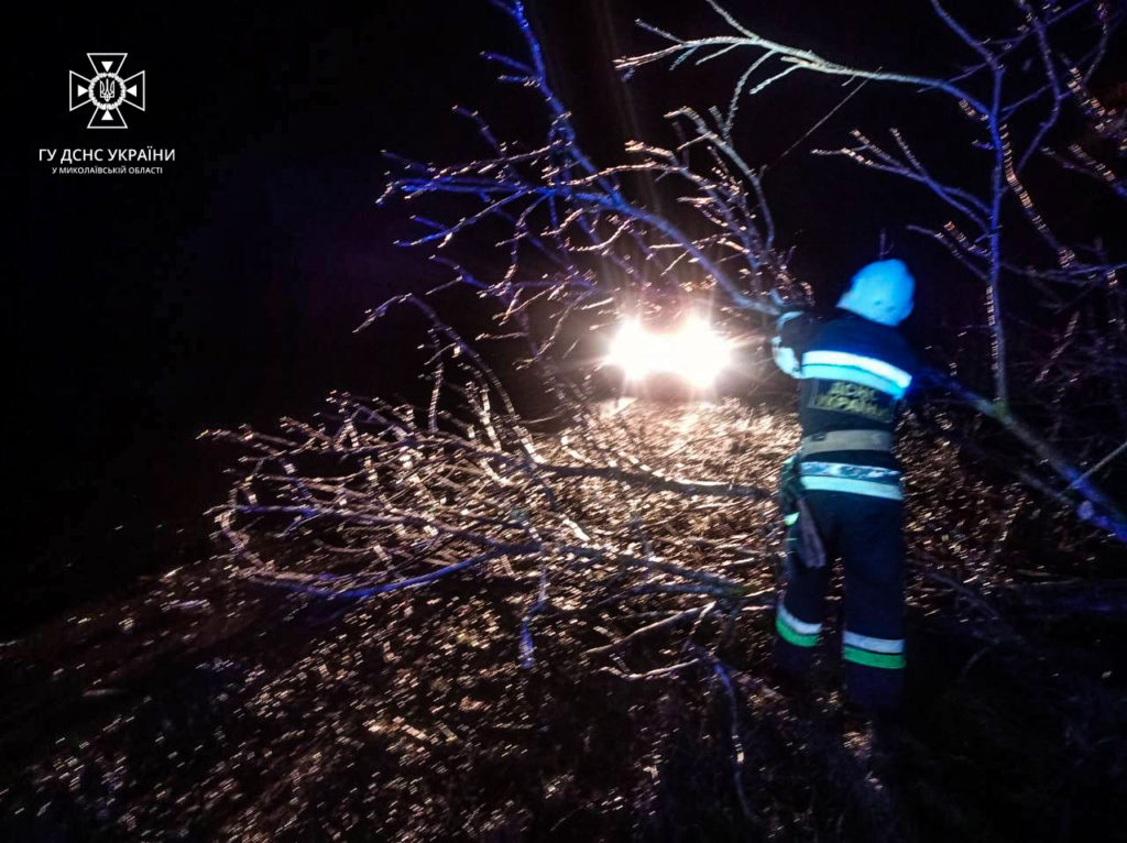 Негода на Миколаївщині: рятувальники прибрали дерева, які впали, і дістали автівку з кювету (ФОТО) 4