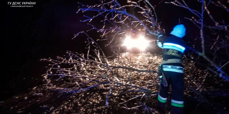 Негода на Миколаївщині: рятувальники прибрали дерева, які впали, і дістали автівку з кювету (ФОТО)