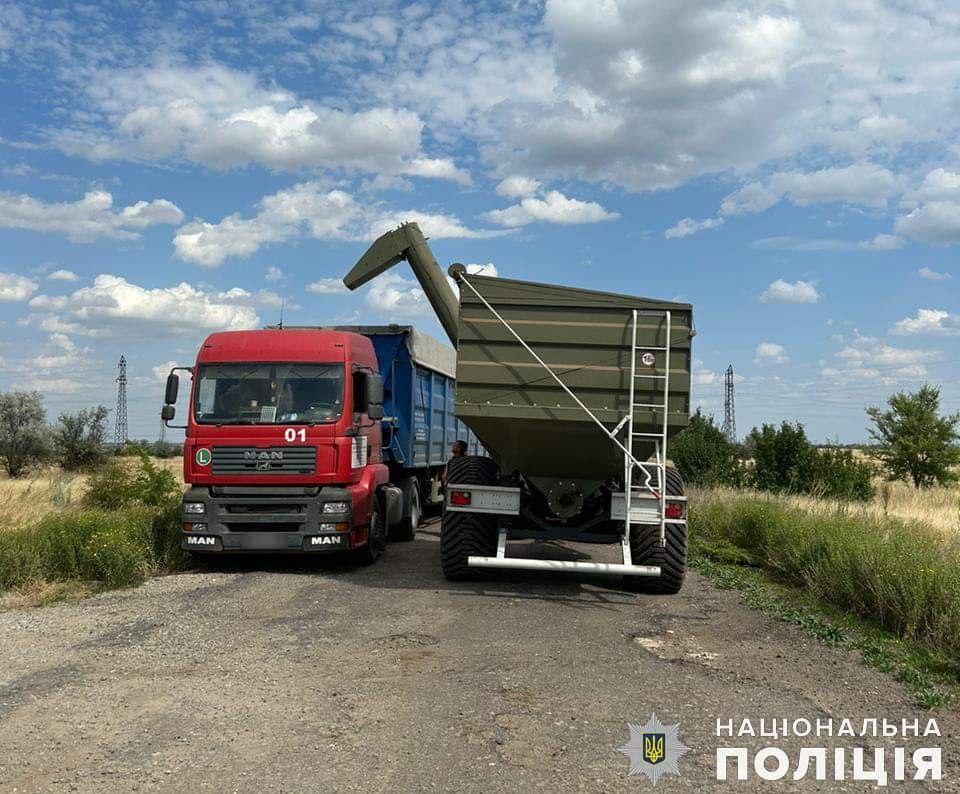 На Миколаївщині фермер захопив землі ЗСУ, засіяв і зібрав врожай. Що йому буде? (ФОТО) 7