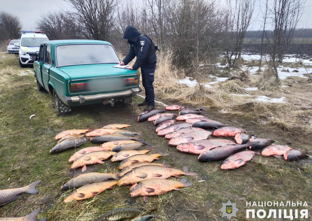 На Миколаївщині поліція затримала 3 браконьєрів з майже 200 кг риби – ловили сітками (ФОТО) 11