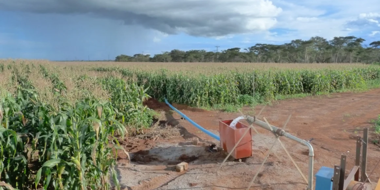 Глобальна посуха. Рівень підземних вод теж різко падає
