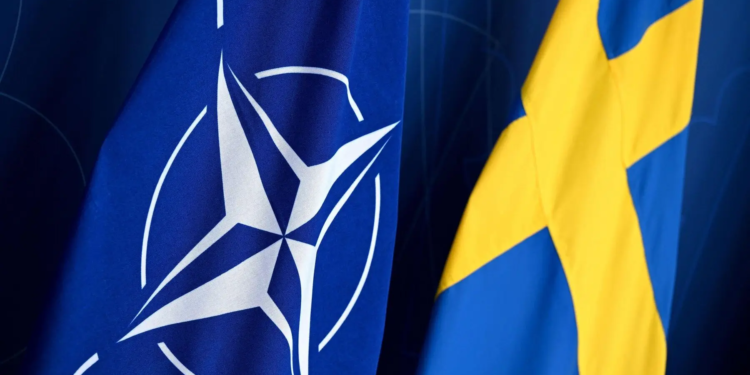 shvec nato