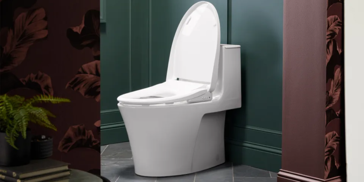 На що багатим гроші? На розумне сидіння для унітаза – ним можна керувати голосом (ВІДЕО)