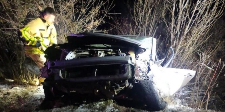 На Миколаївщині в нічній ДТП загинув водій легковика (ФОТО)