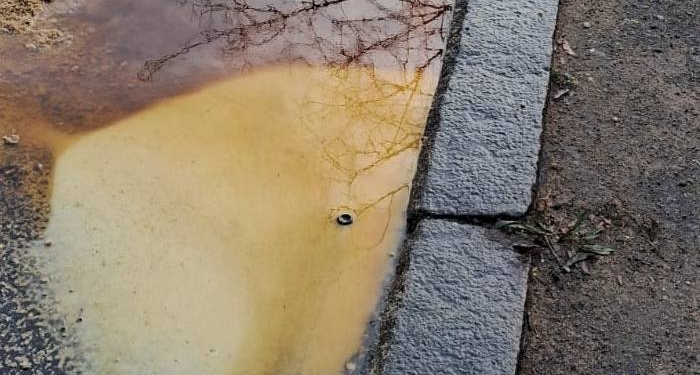 Розлив олії з цистерни у Миколаєві: Держекоінспекція провела дослідження і взяла проби грунту і води (ФОТО)