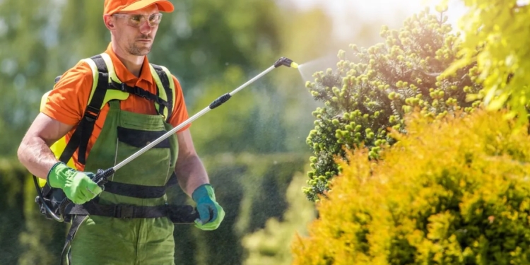 У Болгарії з’являться «екологічні» в’язниці