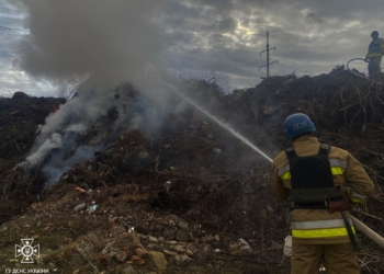Протягом доби вогнеборці Миколаївщини загасили 3 «мирні» пожежі у житловому секторі (ФОТО)