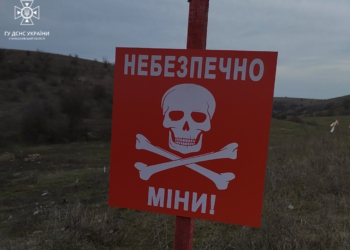 Знов підрив на міні поблизу Євгенівки на Миколаївщині: загинула корова (ФОТО)