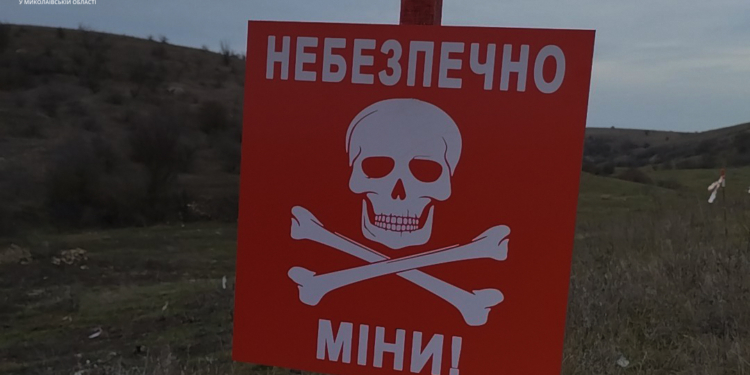 Знов підрив на міні поблизу Євгенівки на Миколаївщині: загинула корова (ФОТО)