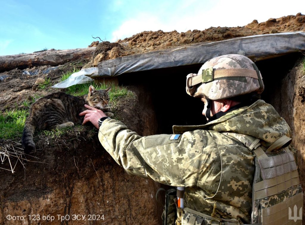 Кішка на ім’я Мишка: вона теж серед миколаївських тероборонівців (ФОТО) 2