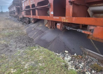 В Польщі на залізниці висипали український ріпак з вагонів – йшов транзитом в Німеччину