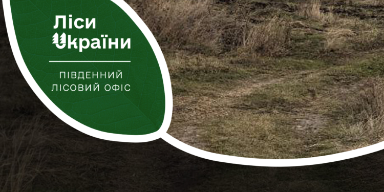 На Миколаївщині лісівники разом з екологами затвердили 72 ділянки для розведення лісу