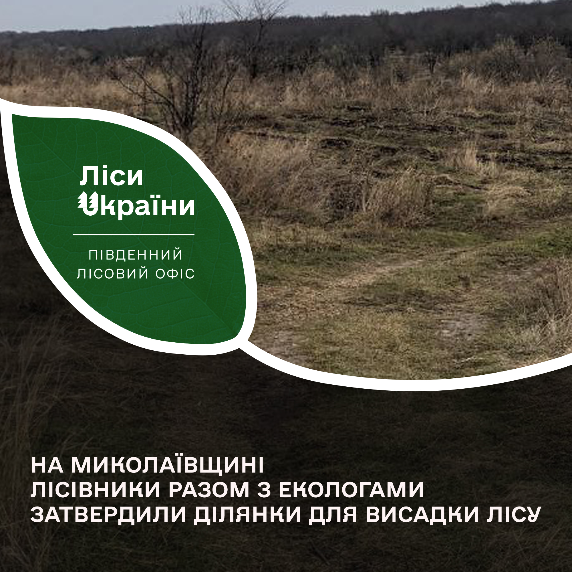 На Миколаївщині лісівники разом з екологами затвердили 72 ділянки для розведення лісу