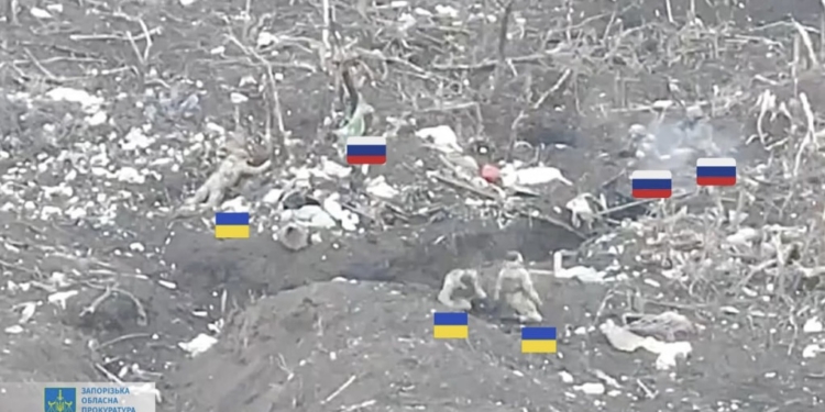 Розпочато розслідування розстрілу окупантами українських військовополонених біля Роботиного 