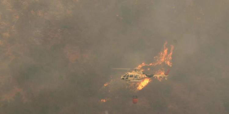 Чилі охопили лісові пожежі: загинуло щонайменше 46 людей (ФОТО)