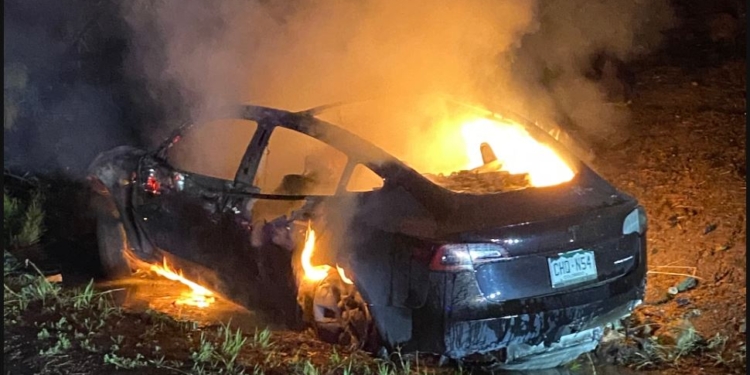 Повний автопілот не допоміг – водій Tesla згорів в ДТП, в команії кажуть, – не треба було пити (ФОТО)