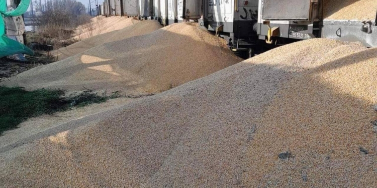 Наймасштабніший випадок вандалізму: на польській залізничній станції пошкоджено 160 тонн українського зерна, яке йшло транзитом (ФОТО)