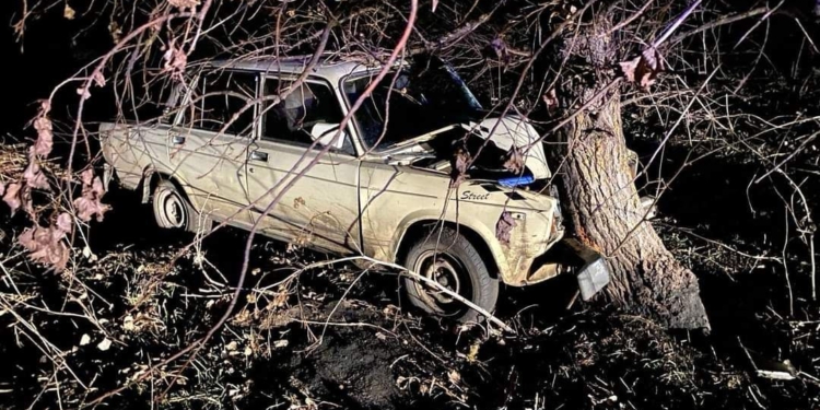 На Миколаївщині п’яний водій “ВАЗ” збив велосипедиста і врізався в дерево (ФОТО)