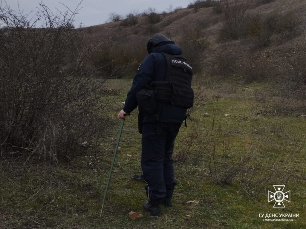 Знов підрив на міні поблизу Євгенівки на Миколаївщині: загинула корова (ФОТО) 4