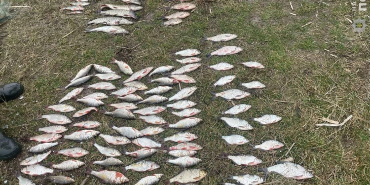 На Миколаївщині на березі Південного Бугу затримали браконьєрів – з рибою та сітками (ФОТО)