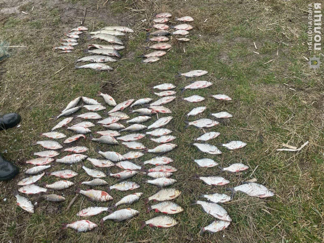 На Миколаївщині на березі Південного Бугу затримали браконьєрів – з рибою та сітками (ФОТО)