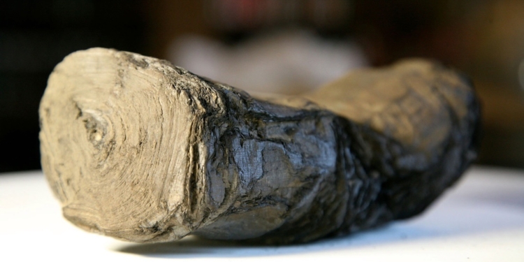 Студенти розшифрували фрагмент рукопису, що обвуглився під час виверження Везувію, – без ШІ не обійшлось (ФОТО, ВІДЕО)