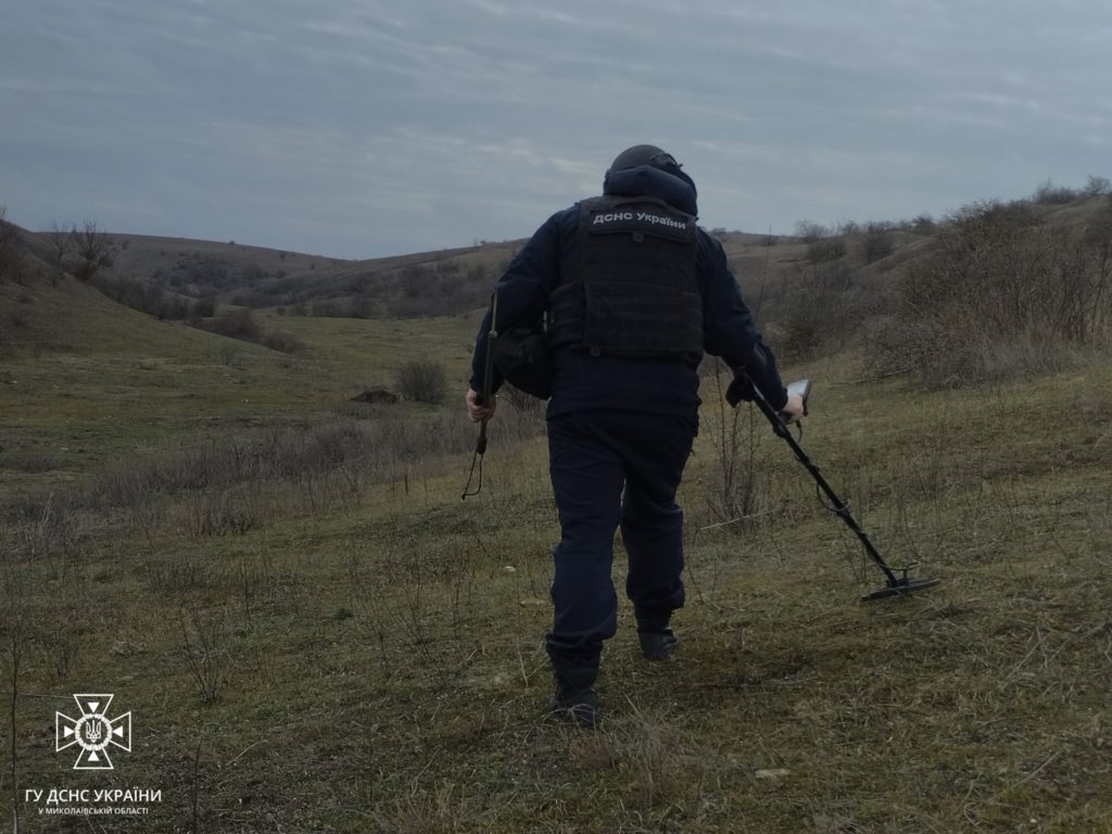 Знов підрив на міні поблизу Євгенівки на Миколаївщині: загинула корова (ФОТО) 6