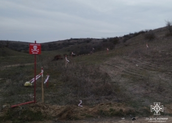 Знов підрив на міні поблизу Євгенівки на Миколаївщині: загинула корова (ФОТО)