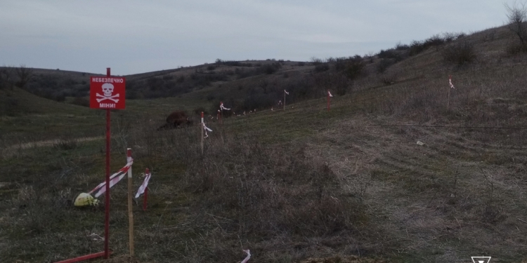 Знов підрив на міні поблизу Євгенівки на Миколаївщині: загинула корова (ФОТО)