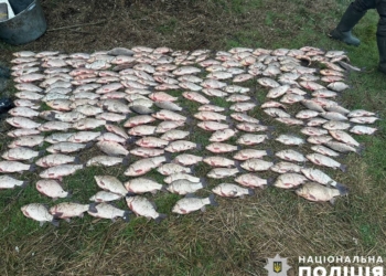 На Миколаївщині браконьєр виловив 200 кг риби в Південному Бузі. Що йому буде (ФОТО)