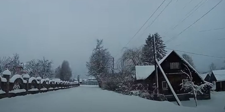Тіні забутих предків? В Карпатах жінки перекрили дорогу – рятували чоловіків від ТЦК. Але побили невинних і дитину (ФОТО, ВІДЕО)