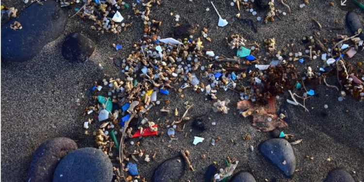 Рятуймося! Мікропластик виявлено в кожній людській плаценті, протестованій у дослідженні