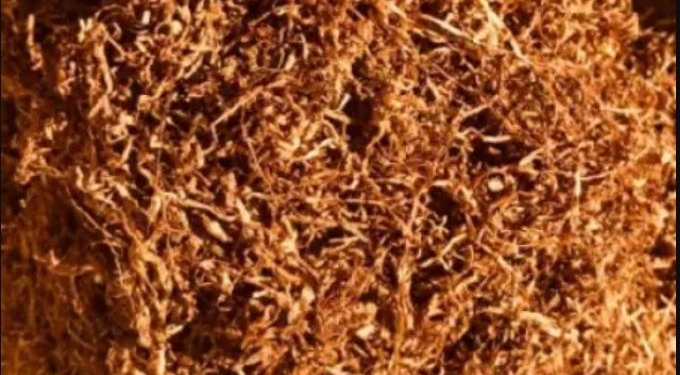 Хочете заробляти на тютюні? Вам це треба знати